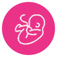 Fertilization